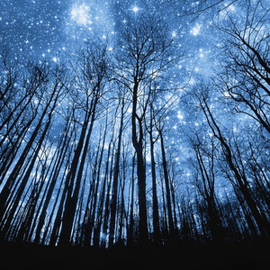 KTV包厢吃奶激情视频
